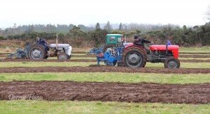 Roundwood Ploughing 2014-The Race is on.