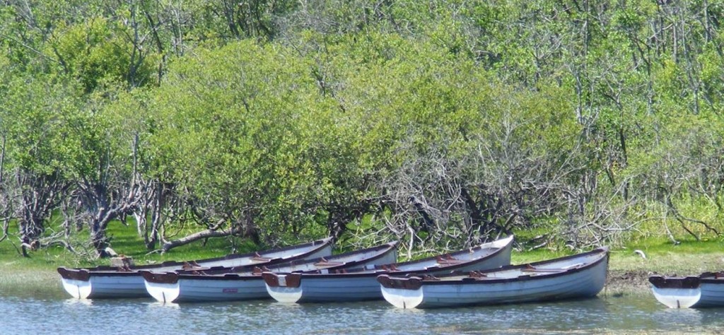 cropped-boats-on-lake.jpg