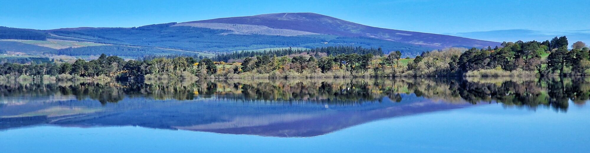 Roundwood