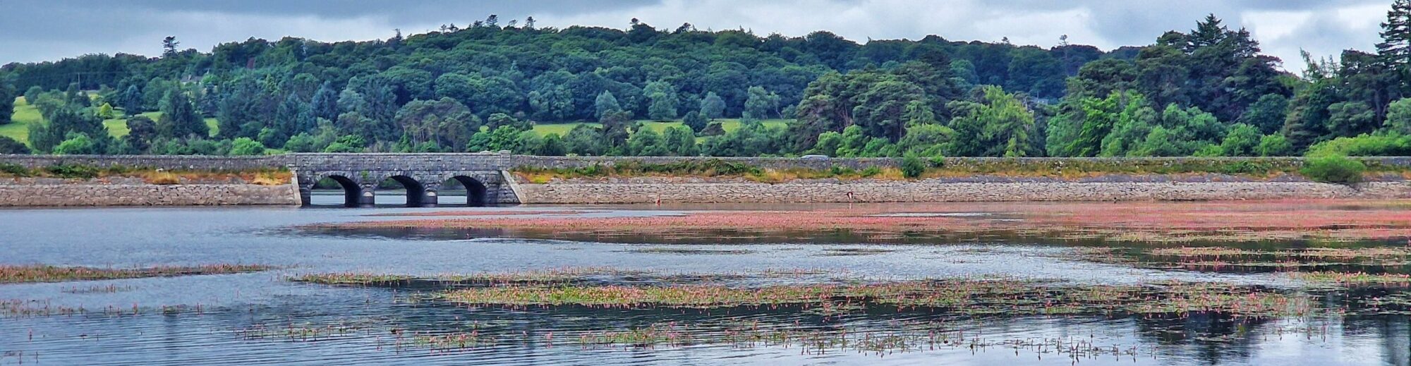Roundwood