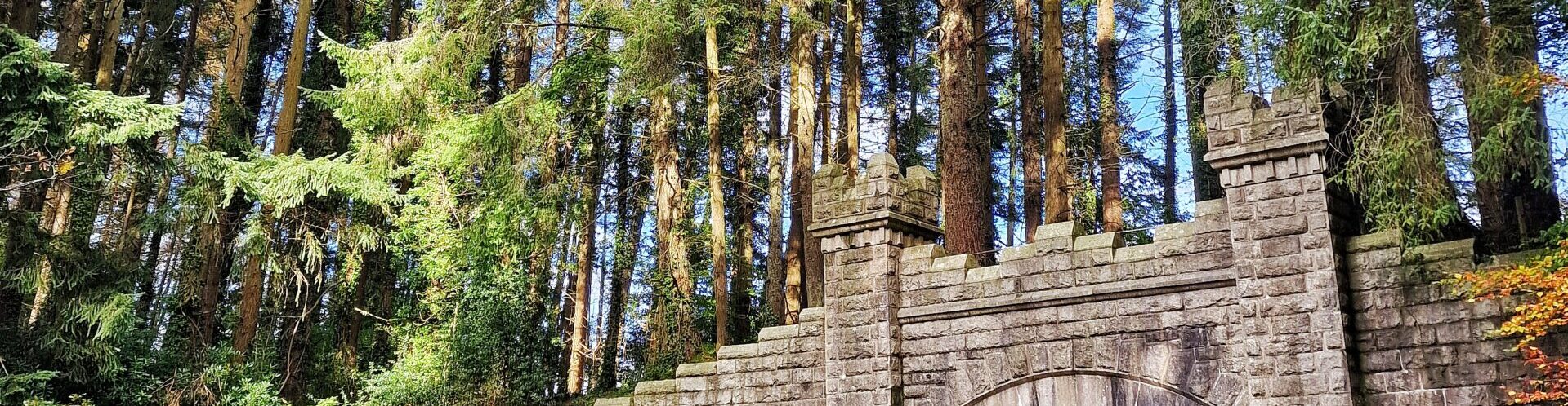 Roundwood