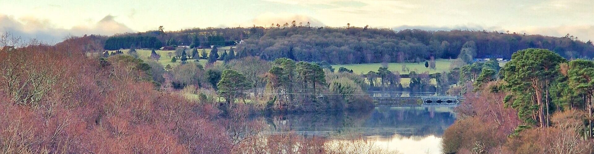 Roundwood