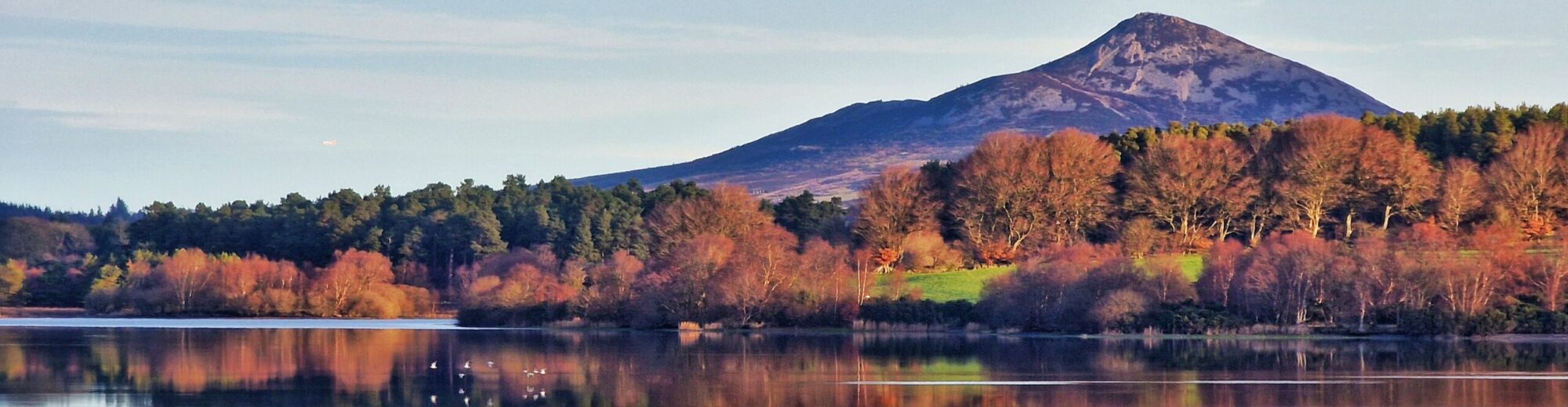 Roundwood