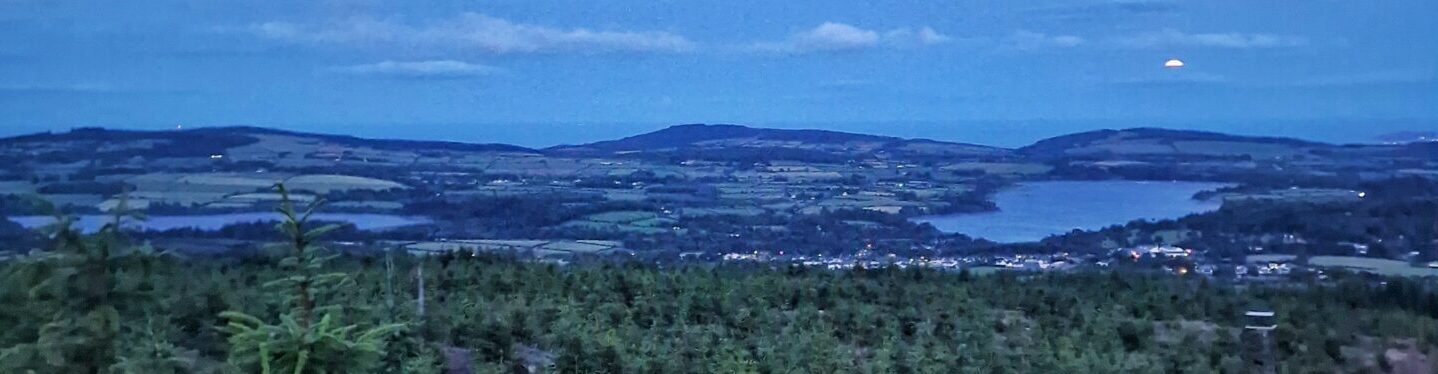 Roundwood